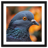 Close Up Of A Pigeon's Head And Neck thumbnail