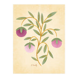 Vintage Fruits (Print Only) thumbnail
