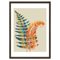 Colorful Fern Leaves