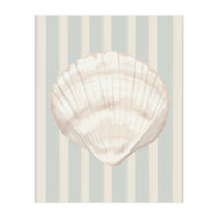 Sea shell (Print Only)