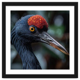 Black Crane Bird Head With Red Crown And Raindrops thumbnail