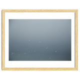 Flying Segulls in thet winter sky thumbnail
