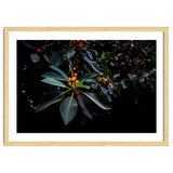Orange, Green and Dark thumbnail