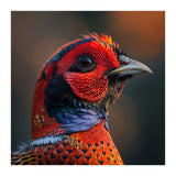 Close Up Pheasant Bird  (Print Only) thumbnail