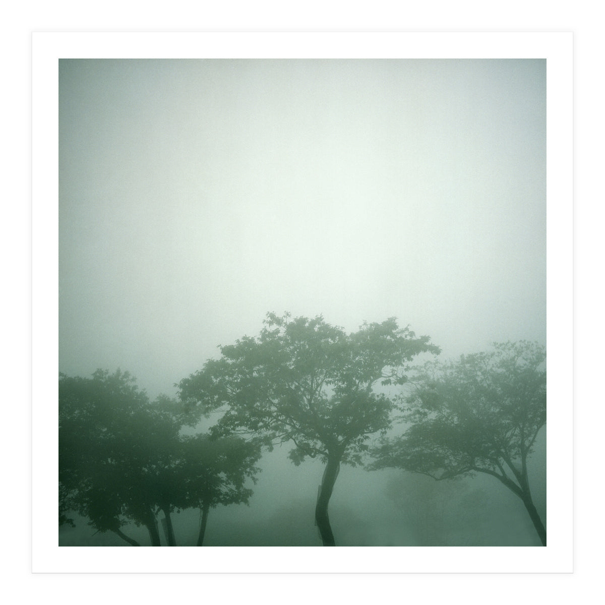 Silence of breath - 17 (Print Only)