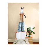 Paws And Prose (Print Only) thumbnail
