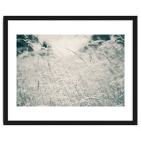 Walking Through Long Grass