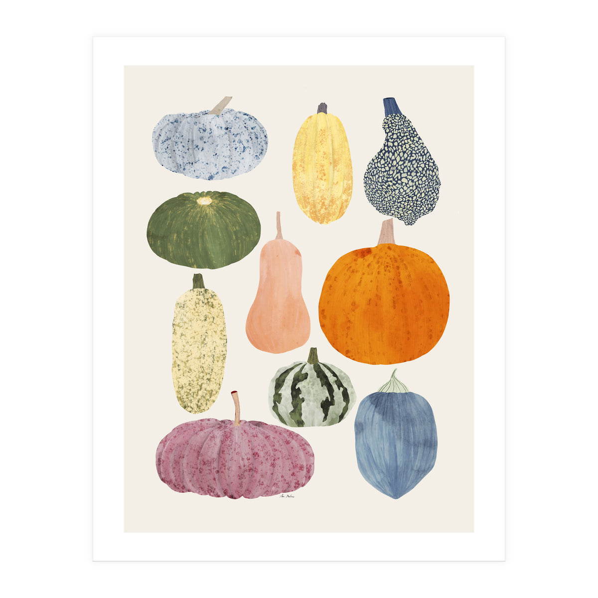 Still Life Of Pumpkins (Print Only)