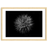 Backyard Flowers In Black And White No 20 Flow Version with Border thumbnail