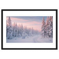Winter’s Gentle Embrace