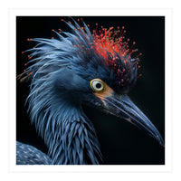 Blue Heron Bird Head With Orange Crown  (Print Only)
