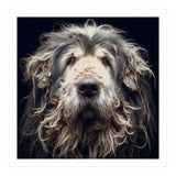 Old Dog 010 (Print Only) thumbnail