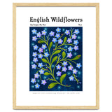 English Wildflowers | Forget-Me-Not thumbnail