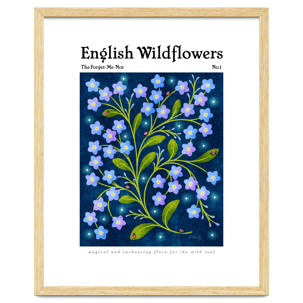 English Wildflowers | Forget-Me-Not