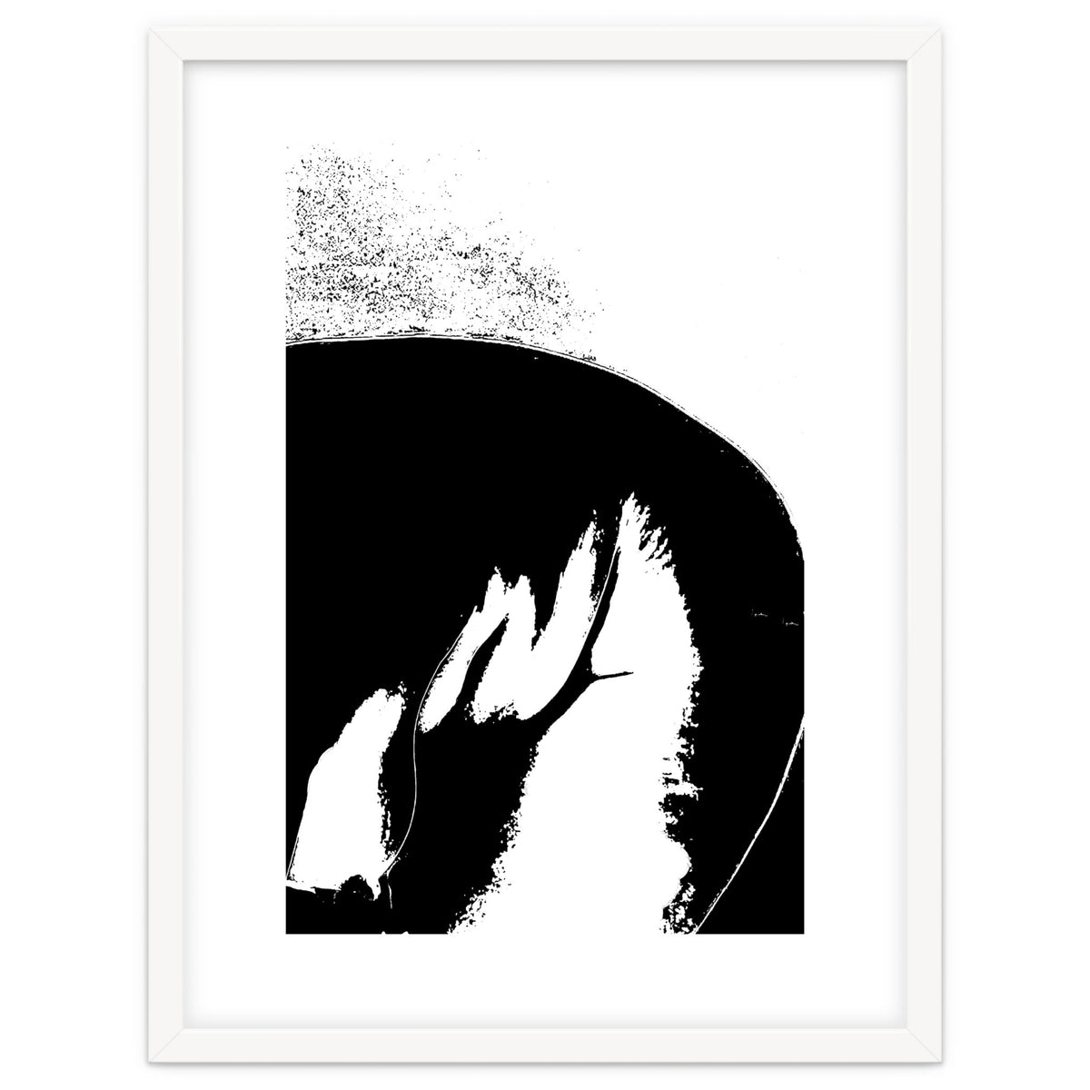 Black & White Study III