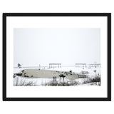 Blackbirds surrounding a frozen pond in winter thumbnail