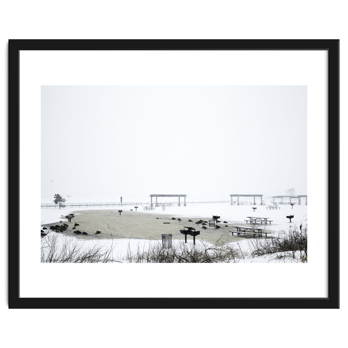Blackbirds surrounding a frozen pond in winter