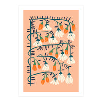 Matisse Expression Purity Peach Fuzz (Print Only)