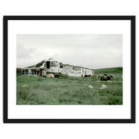 Sheep with a farmhouse - Iceland