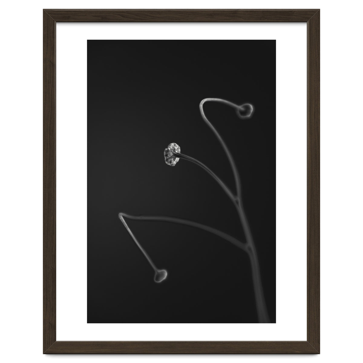 In light of current events VII