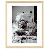 Black Roses thumbnail