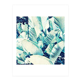 Banana Leaf Crush (Print Only) thumbnail