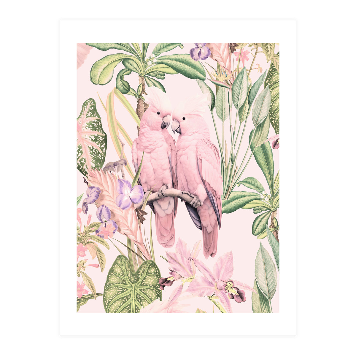 Pink Cockatoos in Love (Print Only)