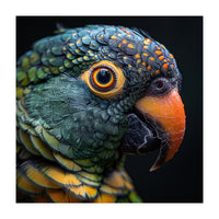 Close Up Of A Colorful Parrot's Face (Print Only)