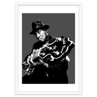 Taj Mahal American Blues Musician Legend