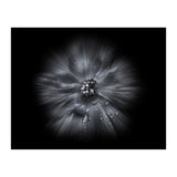 Backyard Flowers In Black And White No 66 Flow Version (Print Only) thumbnail