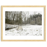 White horse in the snow field thumbnail