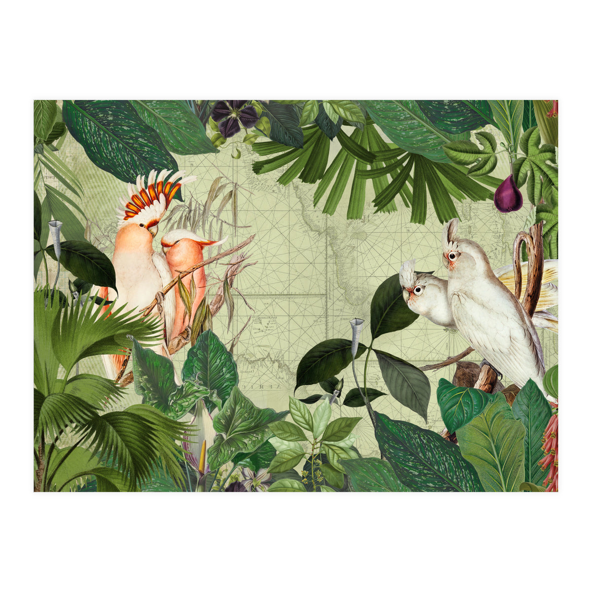 Cockatoo Island Green (Print Only)