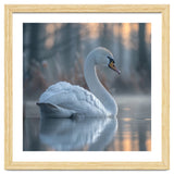 Graceful Swan Floating On Calm Water thumbnail