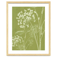 Wildflowers III