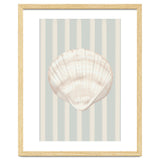 Sea shell thumbnail