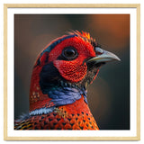 Close Up Pheasant Bird thumbnail