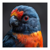 Close Up Portrait Of A Colorful Parrot (Print Only) thumbnail