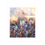 After The Rain (Print Only) thumbnail
