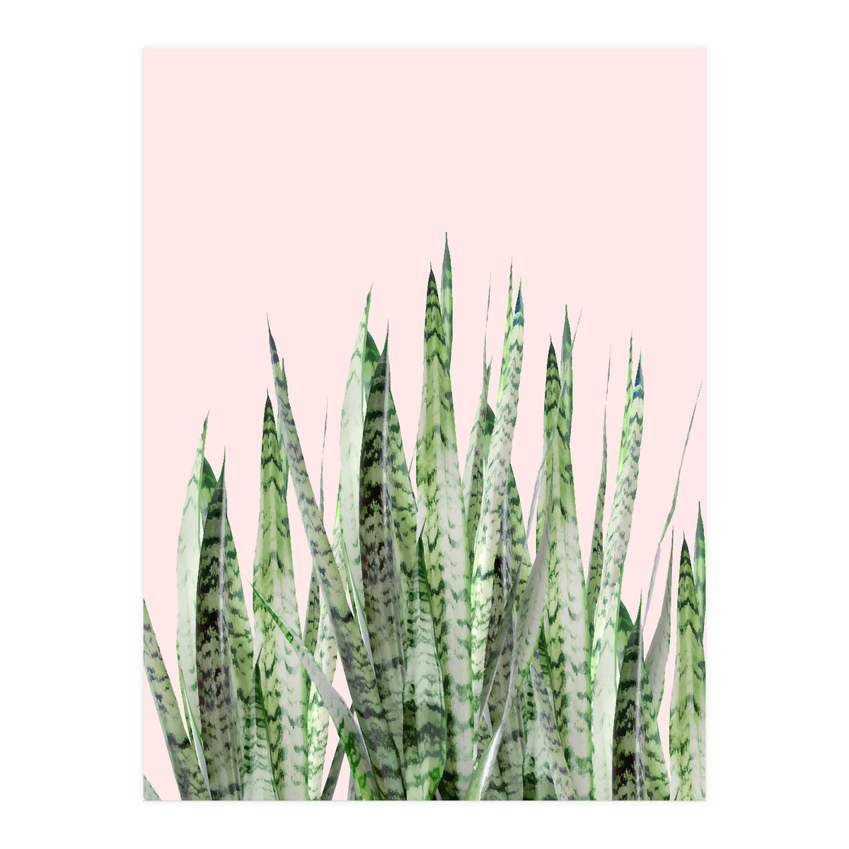 Botanical Balance (Print Only)