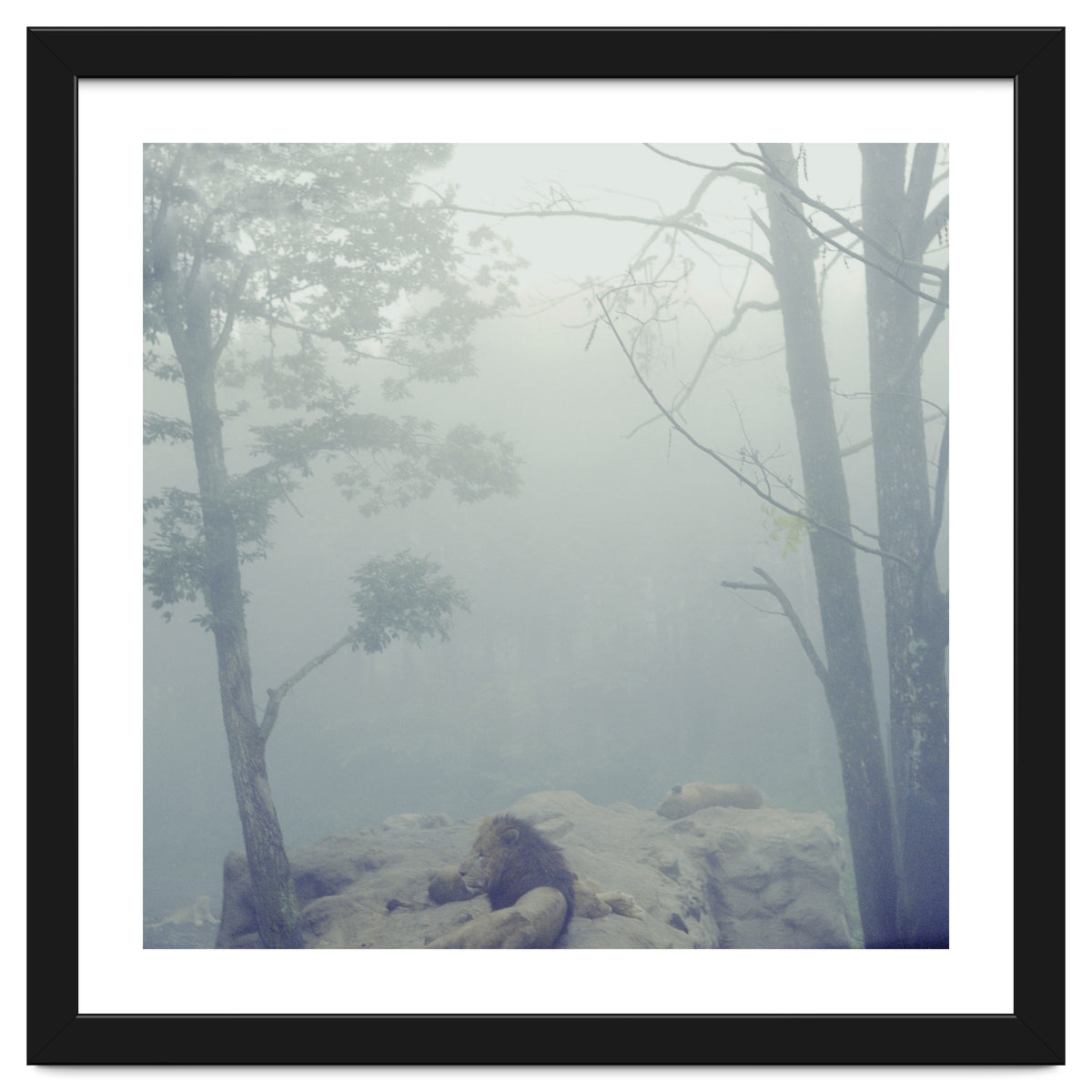 Silence of breath - 02