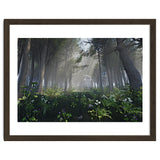 Art In The Forest thumbnail