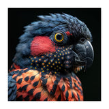 Close Up Portrait Of A Colorful Exotic Parrot (Print Only) thumbnail