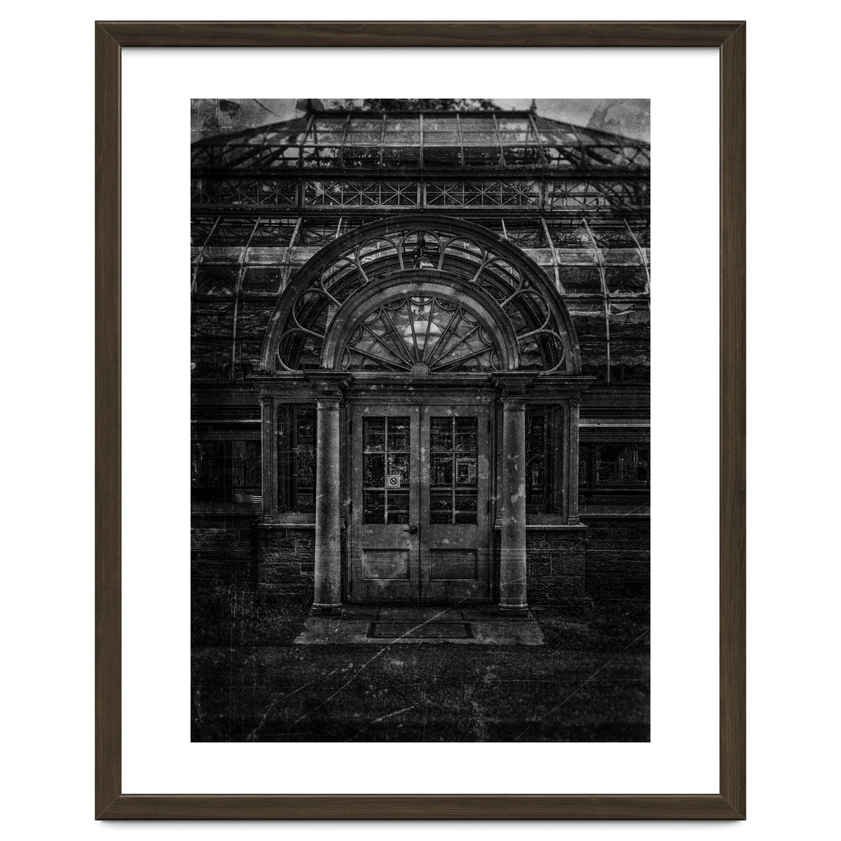 Allan Gardens Conservatory Palm House No 5 Old Film Version