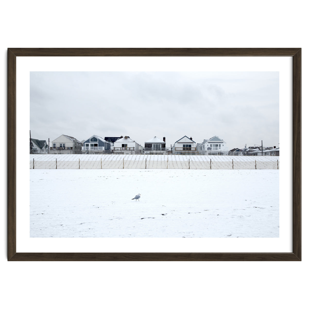 A seagull and snow covered houses
