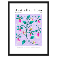 Australian Flora: Canberra Bells