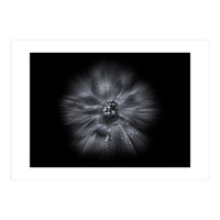 Backyard Flowers In Black And White No 66 Flow Version (Print Only)