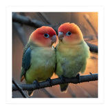Two Lovebirds Perched On A Branch At Sunset (Print Only) thumbnail