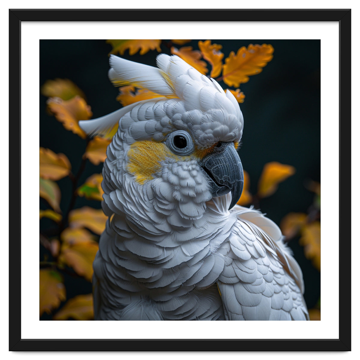 Yellow Crested Cockatoo Portrait Autumn Leaves Dark