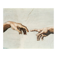 The Sistine Chapel; ceiling frescos after restoration. The creation of Adam. (Print Only)