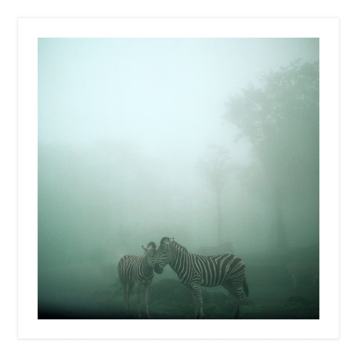 Silence of breath - 11 (Print Only)